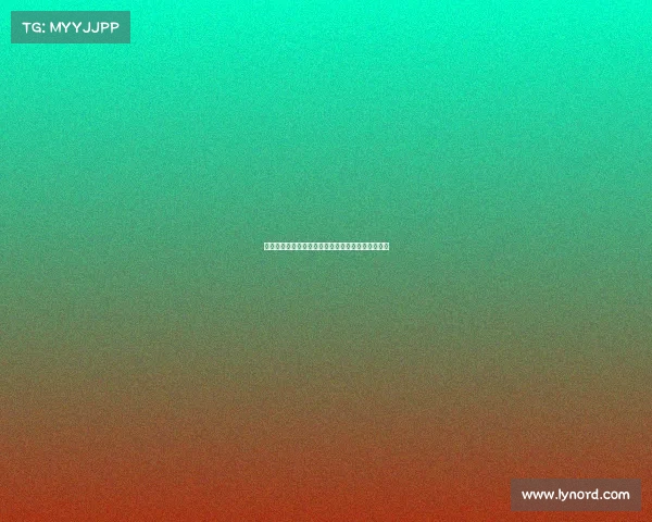 云达不来梅新赛季展望：重建之路与年轻球员的崛起