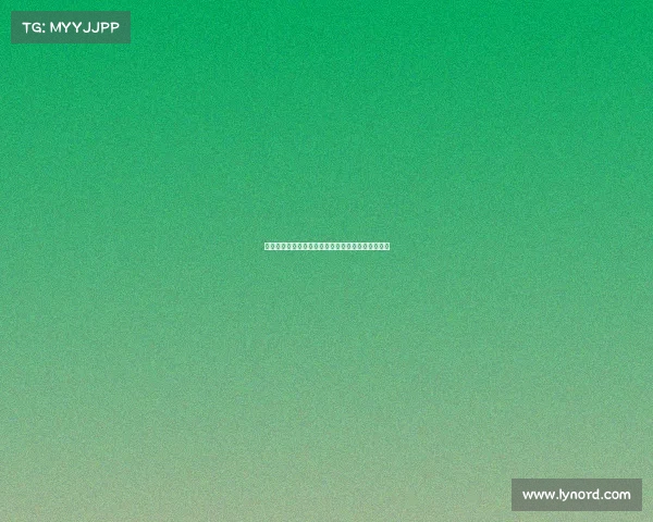 云达不来梅新赛季展望：重建之路与年轻球员的崛起